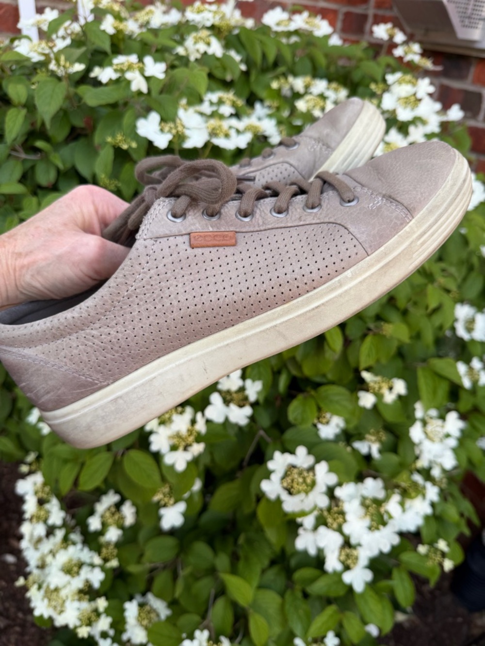 ECCO Taupe Leather Lace Up Sneaker Men’s EU 43 Casual Comfort Minimalist Shoe